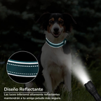 Collar Anti-perdida Mascotas
